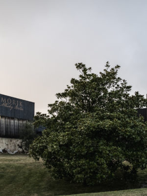Visite "Découverte"